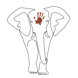 Touching the Elephant